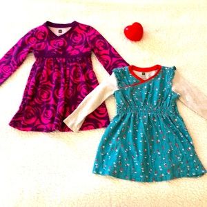 Tea Collection brand 12-18 months long sleeve dress bundle